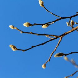 小菅トラウトガーデン 釣果