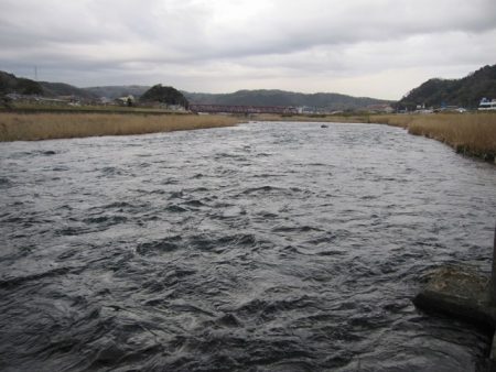 狩野川（狩野川漁業協同組合） 釣果