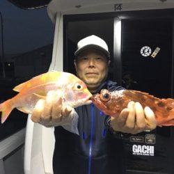 ミタチ丸 釣果
