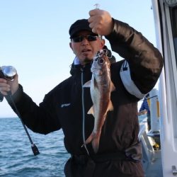 へいみつ丸 釣果