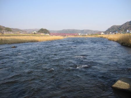 狩野川(狩野川漁業協同組合) 釣果