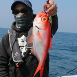 へいみつ丸 釣果