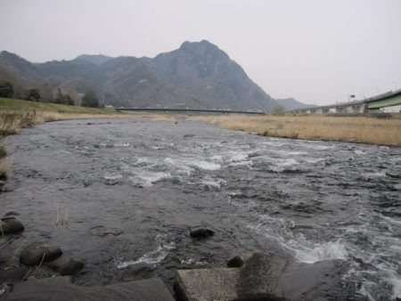 狩野川（狩野川漁業協同組合） 釣果