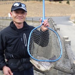 フィッシングレイクたかみや 釣果