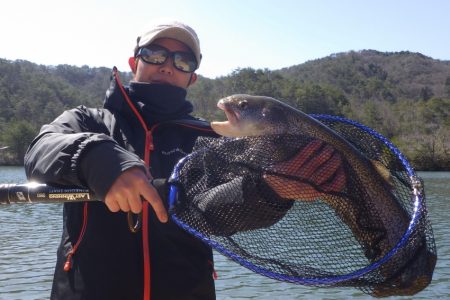 フィッシングレイクたかみや 釣果