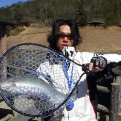 フィッシングレイクたかみや 釣果