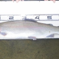 フィッシングレイクたかみや 釣果