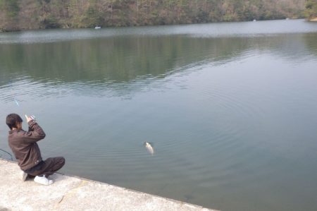 フィッシングレイクたかみや 釣果