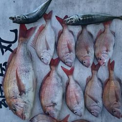 網屋丸 釣果