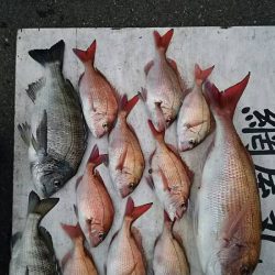 網屋丸 釣果