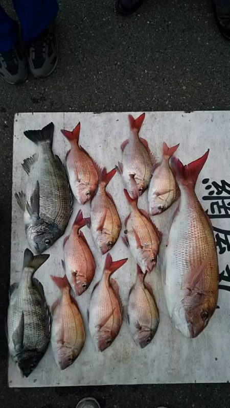 網屋丸 釣果