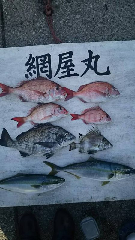 網屋丸 釣果