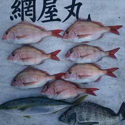 網屋丸 釣果
