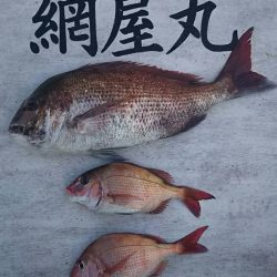 網屋丸 釣果
