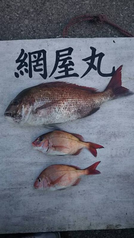 網屋丸 釣果