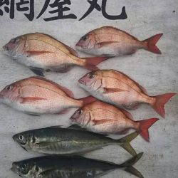 網屋丸 釣果