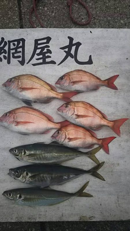 網屋丸 釣果