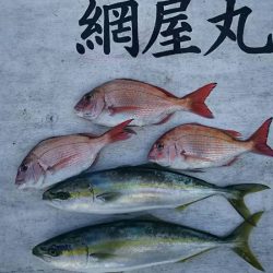 網屋丸 釣果