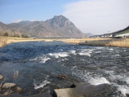 狩野川（狩野川漁業協同組合） 釣果