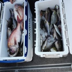 第二大福丸 釣果