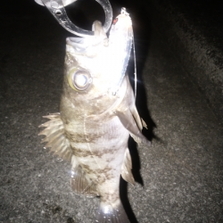 トップ&シンペン