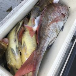 寿裕 （YOSHIHIRO） 釣果