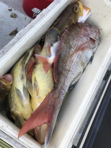 寿裕 （YOSHIHIRO） 釣果