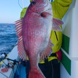 海晴丸 釣果