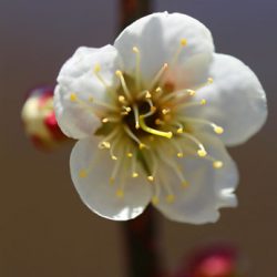 小菅トラウトガーデン 釣果