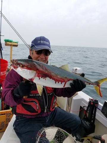 遊漁船　ニライカナイ 釣果