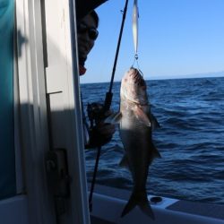 へいみつ丸 釣果