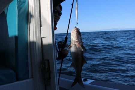 へいみつ丸 釣果