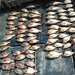 フィッシングガイド りょう 釣果