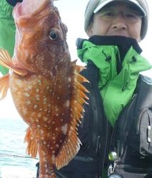 松福丸 釣果