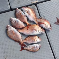 遊漁船高橋 釣果