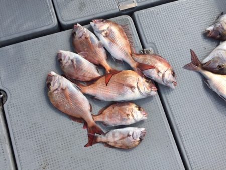 遊漁船高橋 釣果