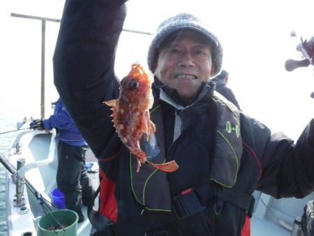 遊漁船 幸友丸 釣果