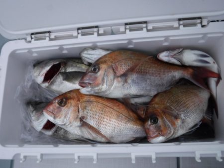 遊漁船 幸友丸 釣果