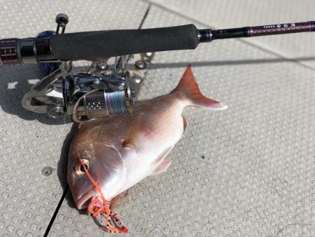白墨丸 釣果