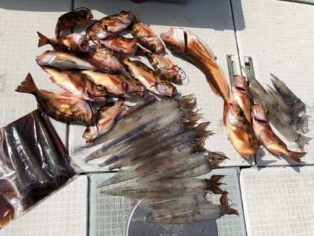 ふじしめ丸 釣果