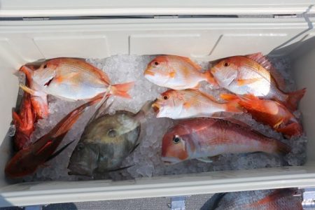 へいみつ丸 釣果