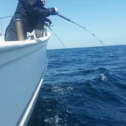 第五慶門丸 釣果