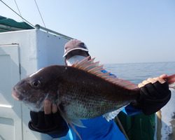 久里浜黒川本家 釣果