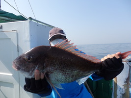 久里浜黒川本家 釣果