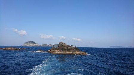 しば渡船 釣果