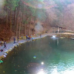 小菅トラウトガーデン 釣果