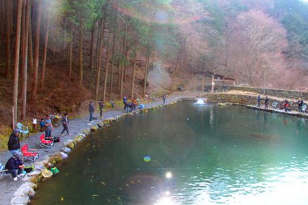 小菅トラウトガーデン 釣果