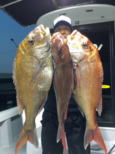 ミタチ丸 釣果