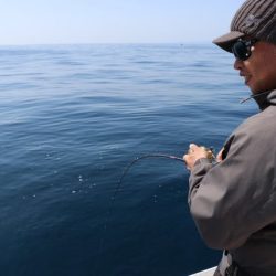 へいみつ丸 釣果