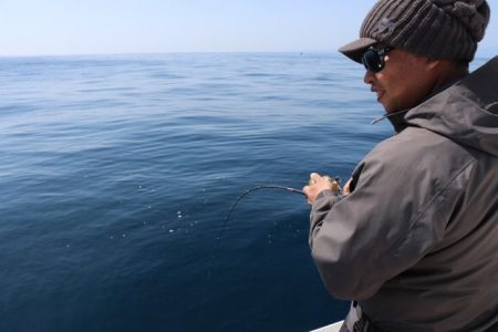 へいみつ丸 釣果